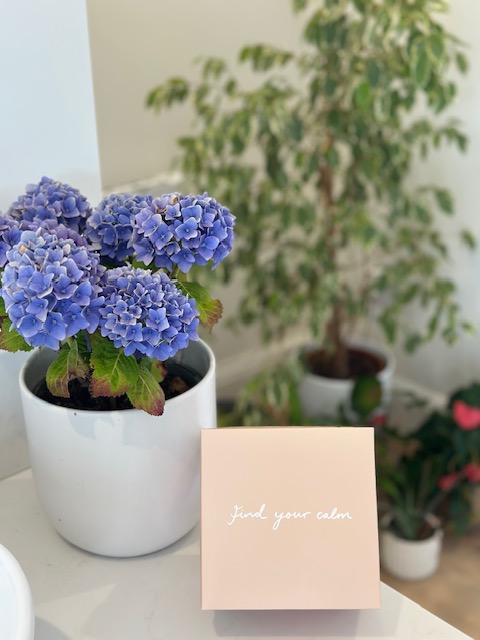 Purple hydrangeas beside a box with the words Find your calm